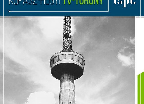 Img 36542 masolata aspect ratio 500 500